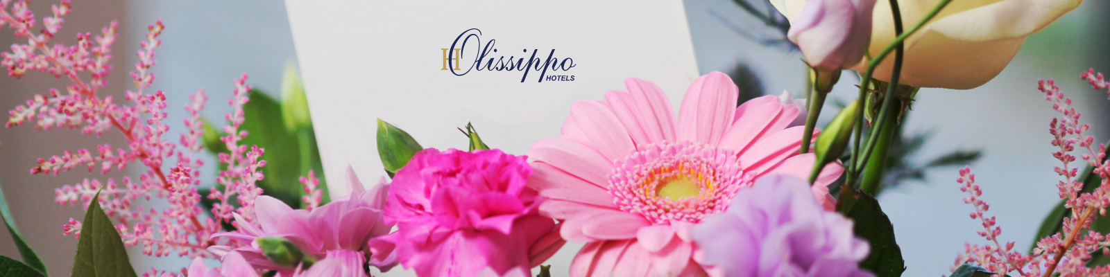 Ofertas Especiais Olissippo Hotels
